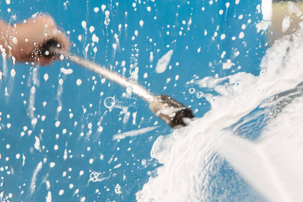 Animal Enclosure Cleaning in Lattingtown, NY